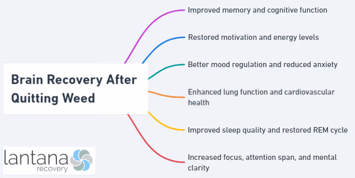 Brain Recovery After Quitting Weed