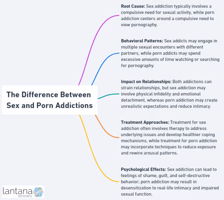 The Difference Between Sex and Porn Addictions