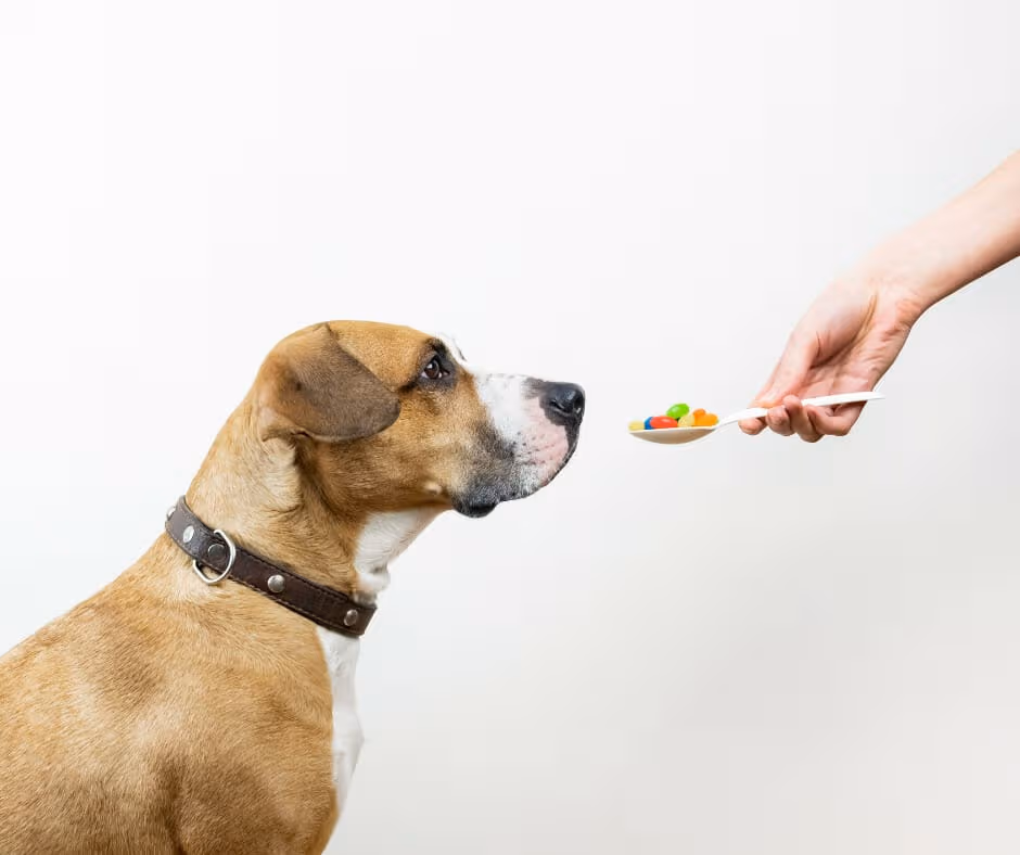 What is Diazepam?